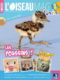 Couverture de l'OISEAU MAG JUNIOR n°22